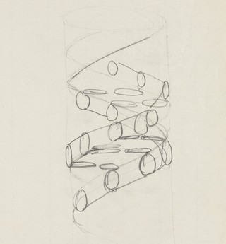 A pencil drawing of a double helix. A pencil drawing of a double helix.