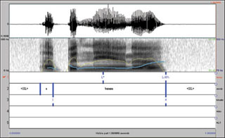 Screenshot from one of the simulations used in the course. Screenshot from one of the simulations used in the course.