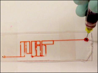 Ink being injected through channels arranged as MIT's logo. Ink being injected through channels arranged as MIT's logo.