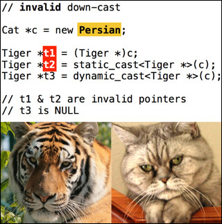 A composite image with C++ code on top, and photographs of a tiger and Persian cat below. A composite image with C++ code on top, and photographs of a tiger and Persian cat below.