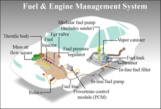 Fuel and engine management system diagram. Fuel and engine management system diagram.