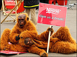 Two people in orangutan custumes holding a sign that says, "Nestle, Give us a break!" Two people in orangutan custumes holding a sign that says, "Nestle, Give us a break!"