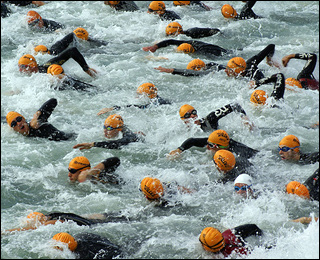 Dozens of swimmers in black wet suits and orange bathing caps race each other through choppy water. Dozens of swimmers in black wet suits and orange bathing caps race each other through choppy water.