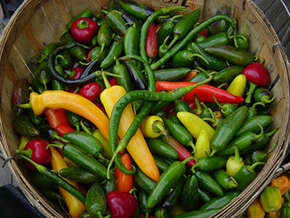 A basket of assorted chili peppers. A basket of assorted chili peppers.