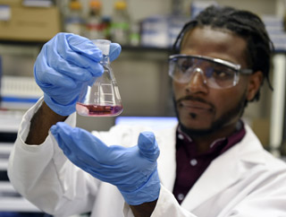 A young male, wearing goggles and gloves, observes purple liquid in a beaker. A young male, wearing goggles and gloves, observes purple liquid in a beaker.