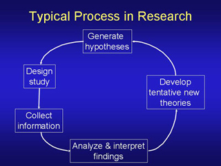Typical Process in Research. Typical Process in Research.