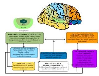 Figure illustrating areas of the brain that may be involved in different aspects of music perception and performance. Figure illustrating areas of the brain that may be involved in different aspects of music perception and performance.