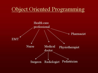 An object oriented programming diagram of health care professions and sub-specialties. An object oriented programming diagram of health care professions and sub-specialties.