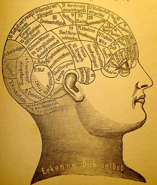 The photo is an illustration of the brain. It shows that certain brain areas have specific functions which in turn control personality traits. The photo is an illustration of the brain. It shows that certain brain areas have specific functions which in turn control personality traits.