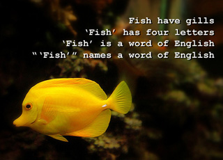 A photo of a yellow tang with text overlaid illustrating the ways the word "fish" can be used. A photo of a yellow tang with text overlaid illustrating the ways the word "fish" can be used.