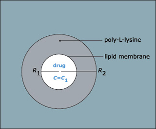 A circular diagram. A circular diagram.