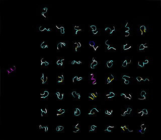 Computer-generated image of colorful, twisted bands. Computer-generated image of colorful, twisted bands.