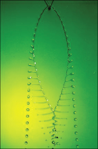 Photo of water drops with fishbone shape. Photo of water drops with fishbone shape.
