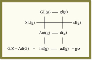 Representation of the adjoint group. Representation of the adjoint group.