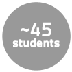 About 45 students took this course when it was offered in Spring 2017.