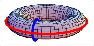 On the torus, the cycles intersect in one point. On the torus, the cycles intersect in one point.