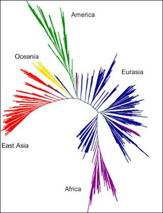 A branched-tree diagram. A branched-tree diagram.