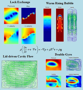 Colorful contour graphs visually demonstrating pressure, velocity, density, and related quantities for lock exchange, warm rising bubble, lid-driven cavity flow, and double-gyre phenomena. Colorful contour graphs visually demonstrating pressure, velocity, density, and related quantities for lock exchange, warm rising bubble, lid-driven cavity flow, and double-gyre phenomena.