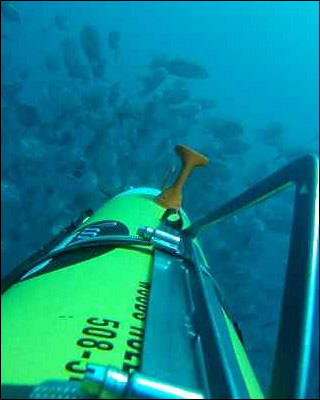 An underwater photo taken by a REMUS 100 AUV known as Snoopy. An underwater photo taken by a REMUS 100 AUV known as Snoopy.