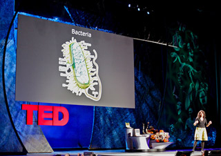 A woman is giving a presentation in front of a large projector of an image of bacteria. A woman is giving a presentation in front of a large projector of an image of bacteria.