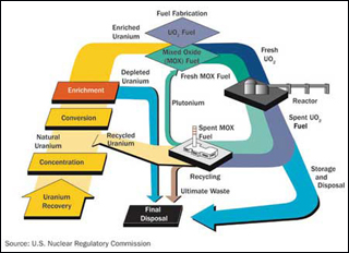 Diagram showing how a nuclear power plant reactor processes waste. As particles and radiation move through a power plant, the plant takes special precautions to protect the environment from these hazards. Diagram showing how a nuclear power plant reactor processes waste. As particles and radiation move through a power plant, the plant takes special precautions to protect the environment from these hazards.