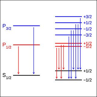 Two sets of horizontal and vertical lines with labels next to the horizontal lines and arrows at the bottom ends of the vertical lines. Two sets of horizontal and vertical lines with labels next to the horizontal lines and arrows at the bottom ends of the vertical lines.