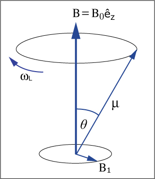 A vector rotates around a vertical axis with rotation angle of θ. A vector rotates around a vertical axis with rotation angle of θ.