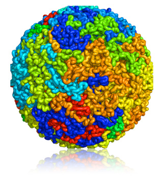 a sphere composed of different colors of tubes coiled together. a sphere composed of different colors of tubes coiled together.