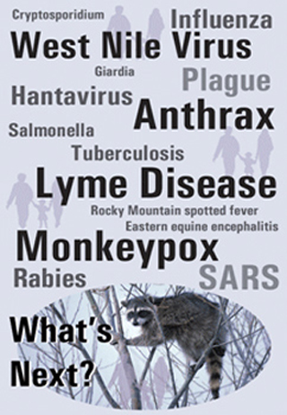An image listing many human diseases and below, a raccoon. An image listing many human diseases and below, a raccoon.