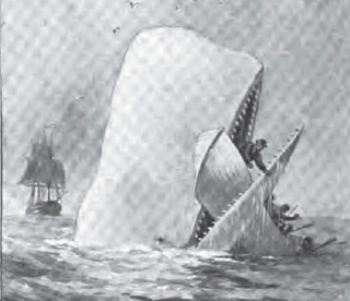 Drawing of the white whale's head rising from the ocean, biting a rowboat in half. Drawing of the white whale's head rising from the ocean, biting a rowboat in half.