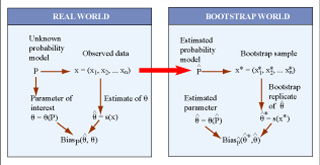 Translation from the real world to the bootstrap world. Translation from the real world to the bootstrap world.