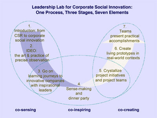 Leadership Lab for Corporate Social Innovation: One Process, Three Stages, Seven Elements. Leadership Lab for Corporate Social Innovation: One Process, Three Stages, Seven Elements.