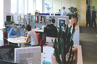 Employees working in their offices. Employees working in their offices.