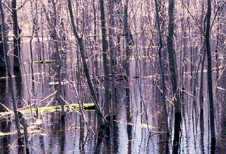 Mill Creek. Mill Creek.