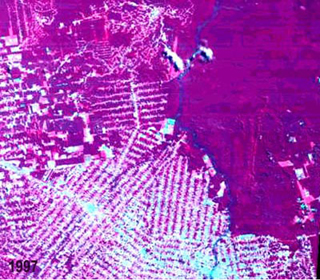 Deforestation in the Amazon as seen from satellite. Deforestation in the Amazon as seen from satellite.