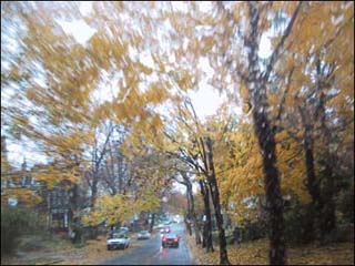 Driving in autumn. Driving in autumn.