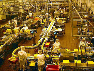 Factory workers at a cheese factory in Oregon form assembly lines around multiple conveyor belts. Factory workers at a cheese factory in Oregon form assembly lines around multiple conveyor belts.