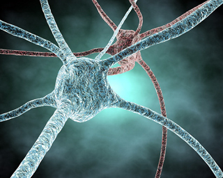Blue and red structures that have six arms coming off of them. Blue and red structures that have six arms coming off of them.