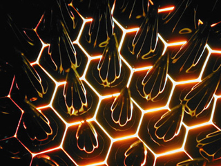 Photograph of a peak pattern with a magnetic field. Photograph of a peak pattern with a magnetic field.