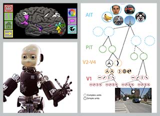 Collage of three images: (1) side view of human brain, with several regions highlighted; (2) a "tree diagram" illustrating how a street scene can be decomposed into various parts; (3) photo of a head and arms of a humanoid robot. Collage of three images: (1) side view of human brain, with several regions highlighted; (2) a "tree diagram" illustrating how a street scene can be decomposed into various parts; (3) photo of a head and arms of a humanoid robot.