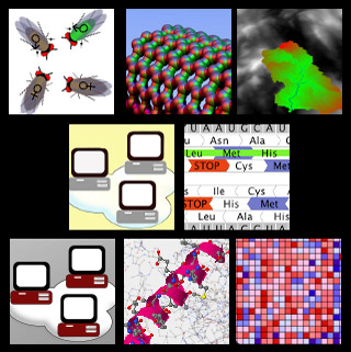 A collage of graphical icons representing software tools. A collage of graphical icons representing software tools.